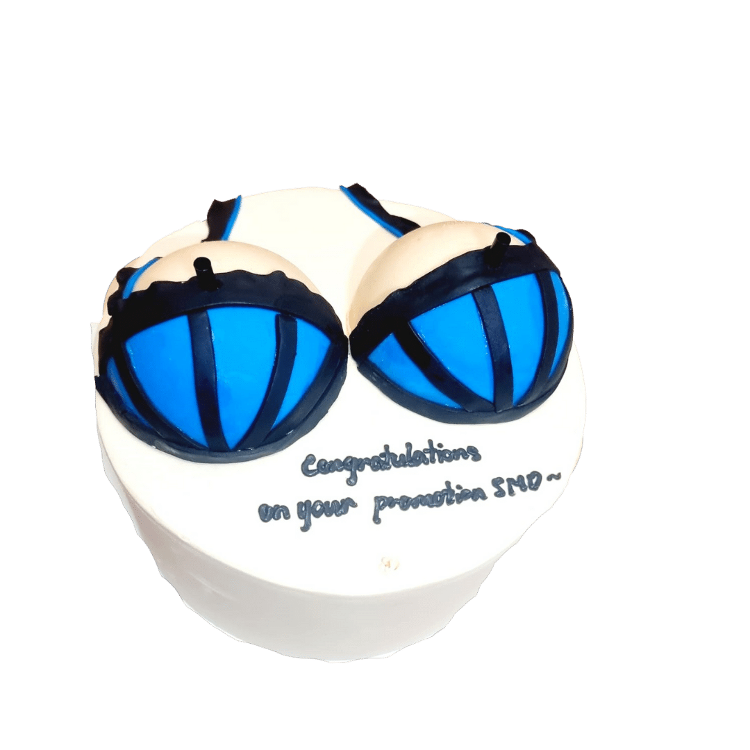 Blue & Silver Sexy Boobs Bra Cake