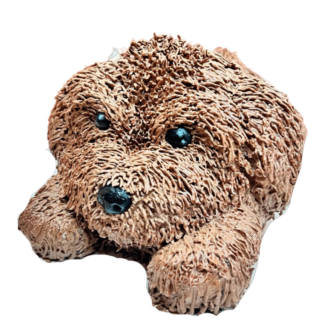 3D Cute Poodle Full Body Customise Cake