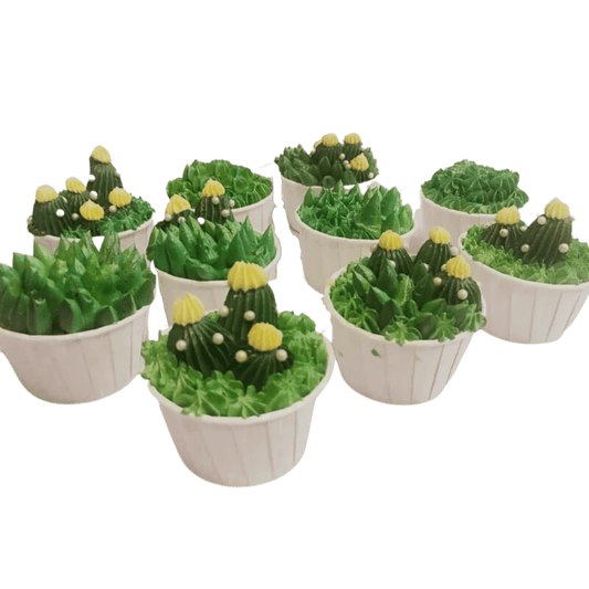 Customised Cactus Cupcakes (12PCS)
