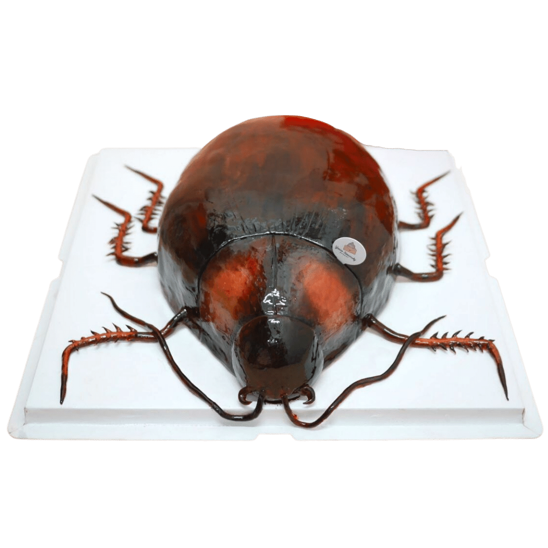 Hissing Cockroach Cake! : r/CAKEWIN