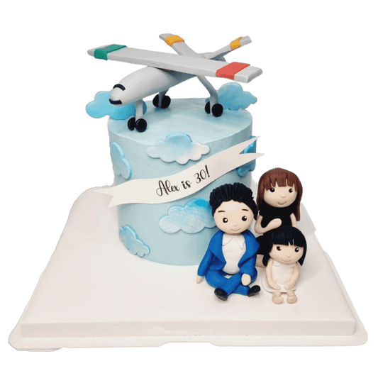 Air Steward Family Aeroplane Theme Cake