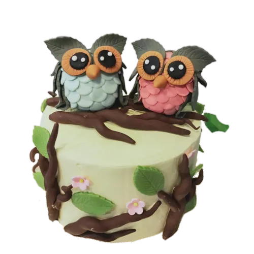 Cute Couple Owl Forest Cake