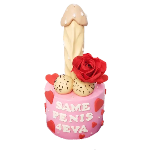 Floral Penis Dick Cake for Hens Night 2