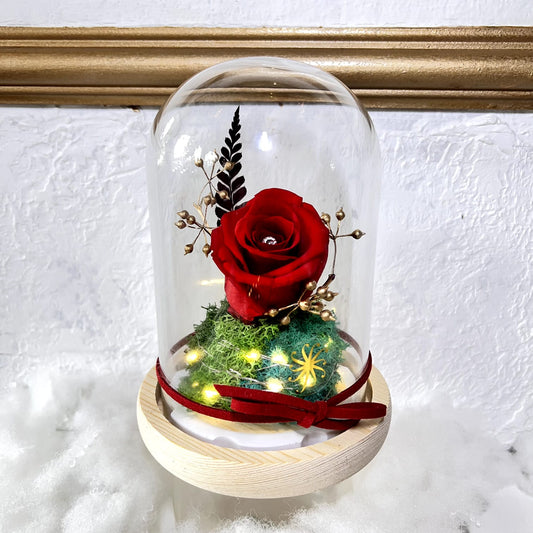 Eternal Preserved Red Rose Bloom Dome - Valentine's Day